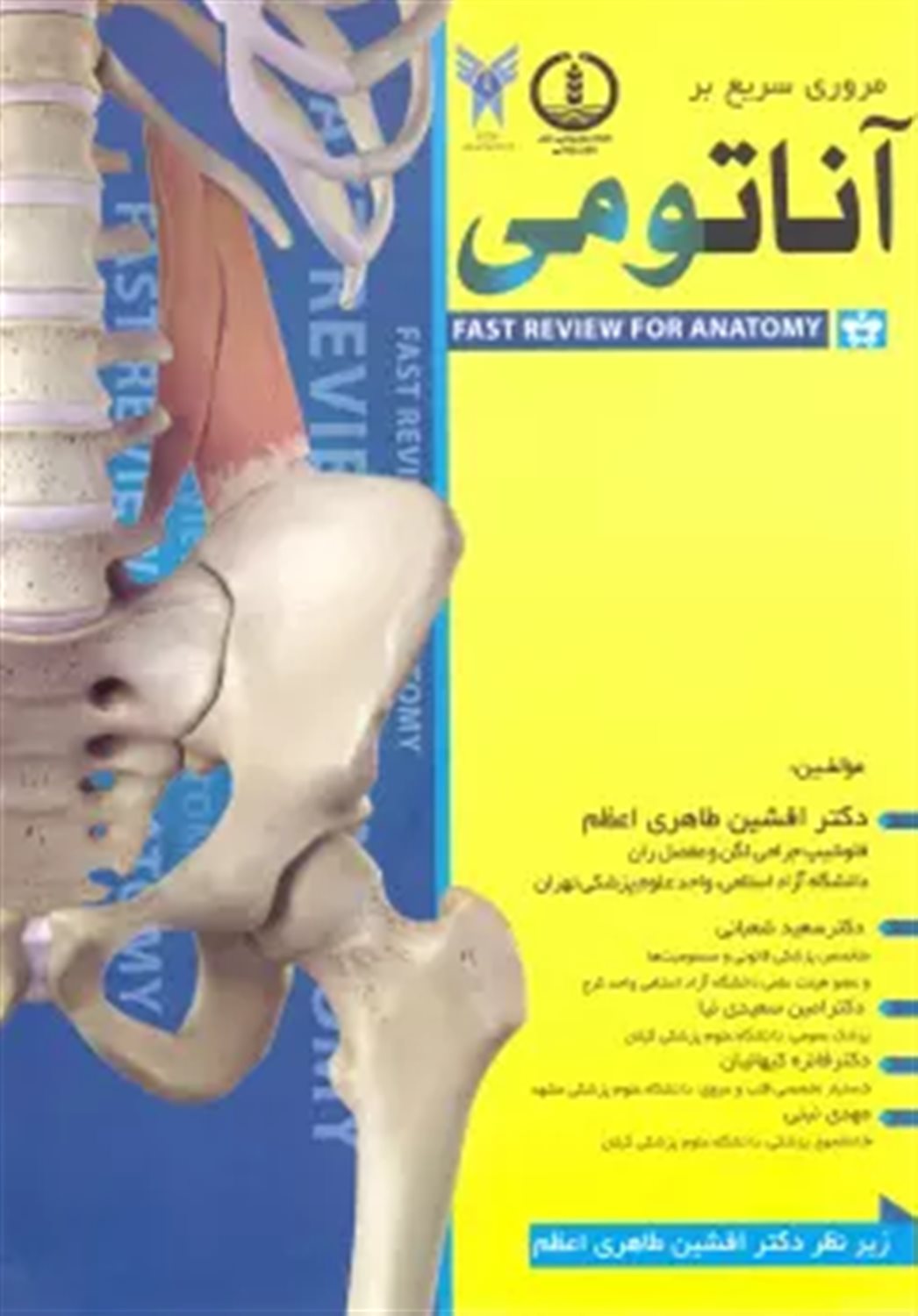 مروری سریع بر آناتومی