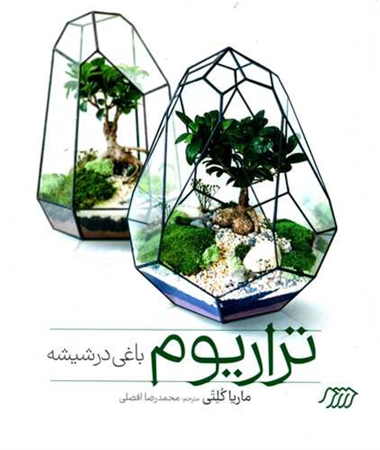 تراریوم باغی در شیشه 