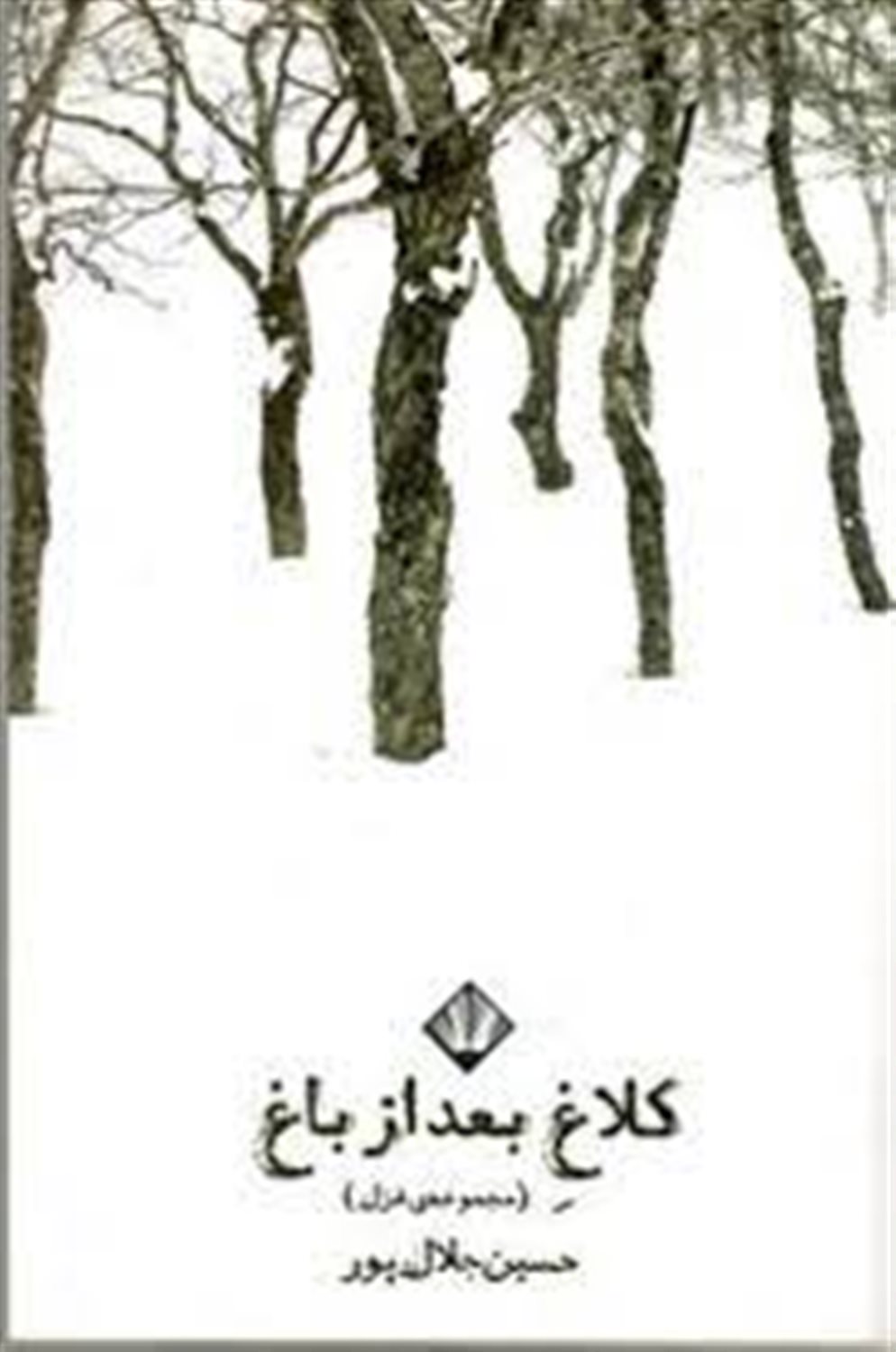 کلاغ بعد از باغ 