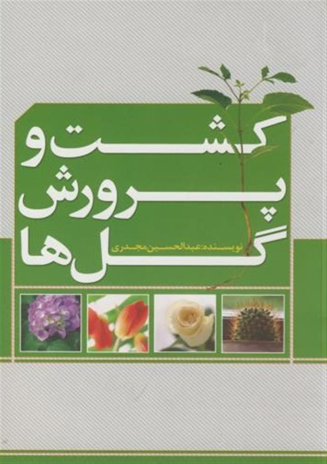 کشت و پرورش گلها
