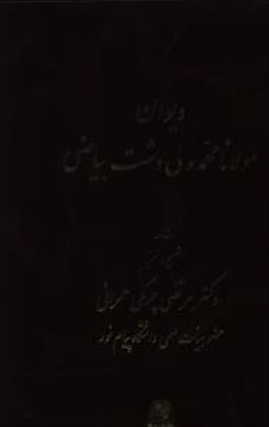 دیوان مولانا محمد ولی دشت بیاضی