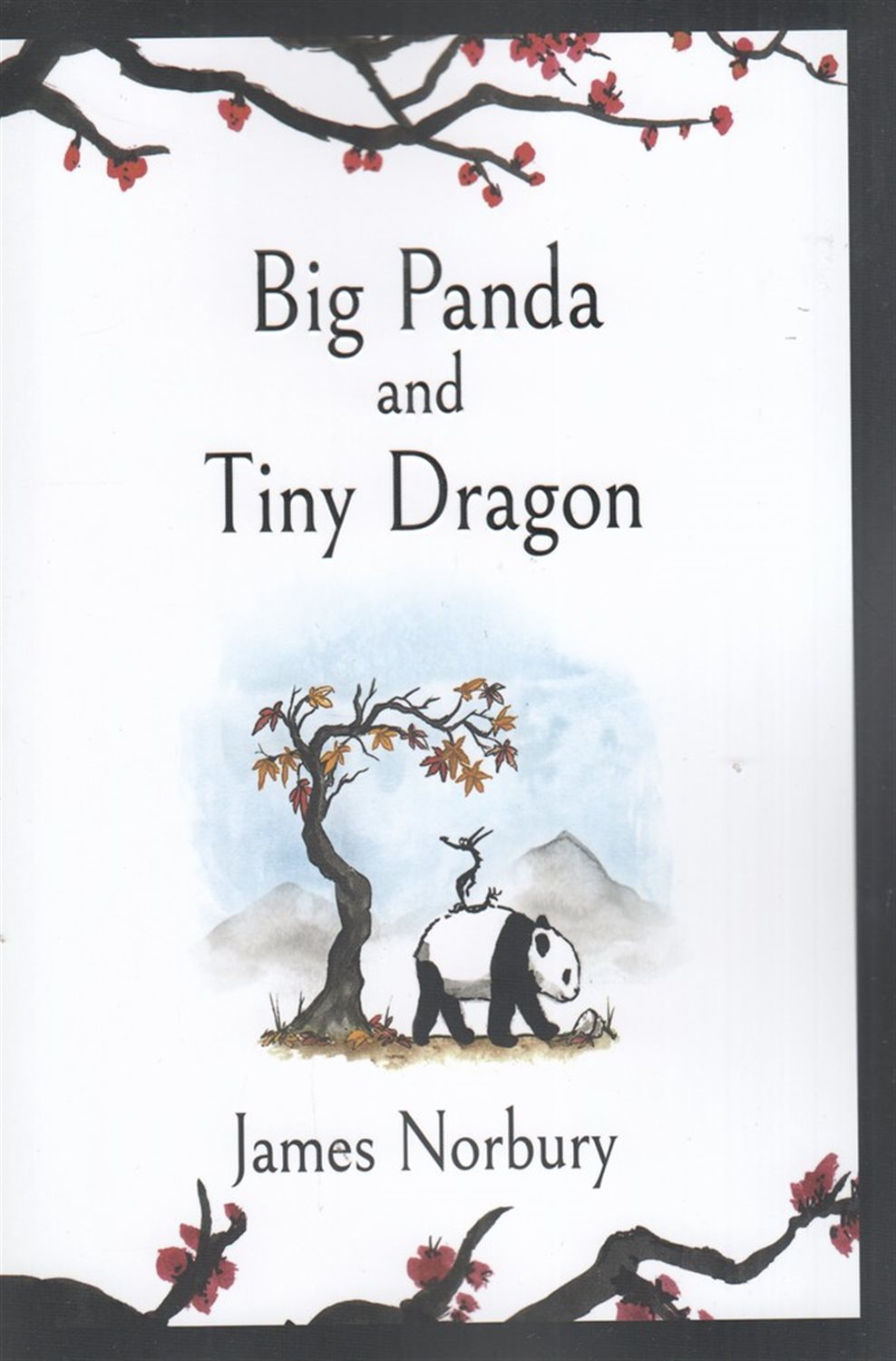Big Panda and Tiny Dragon