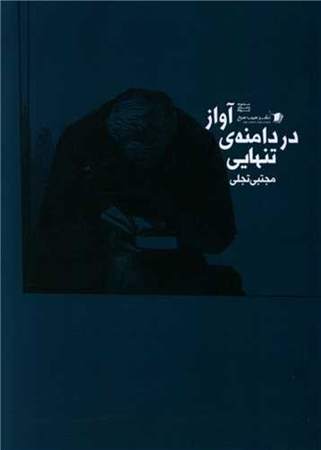 آواز در دامنه ی تنهایی