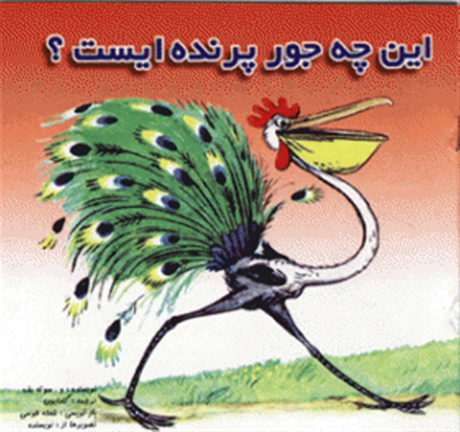 این چه جور پرنده ای است؟