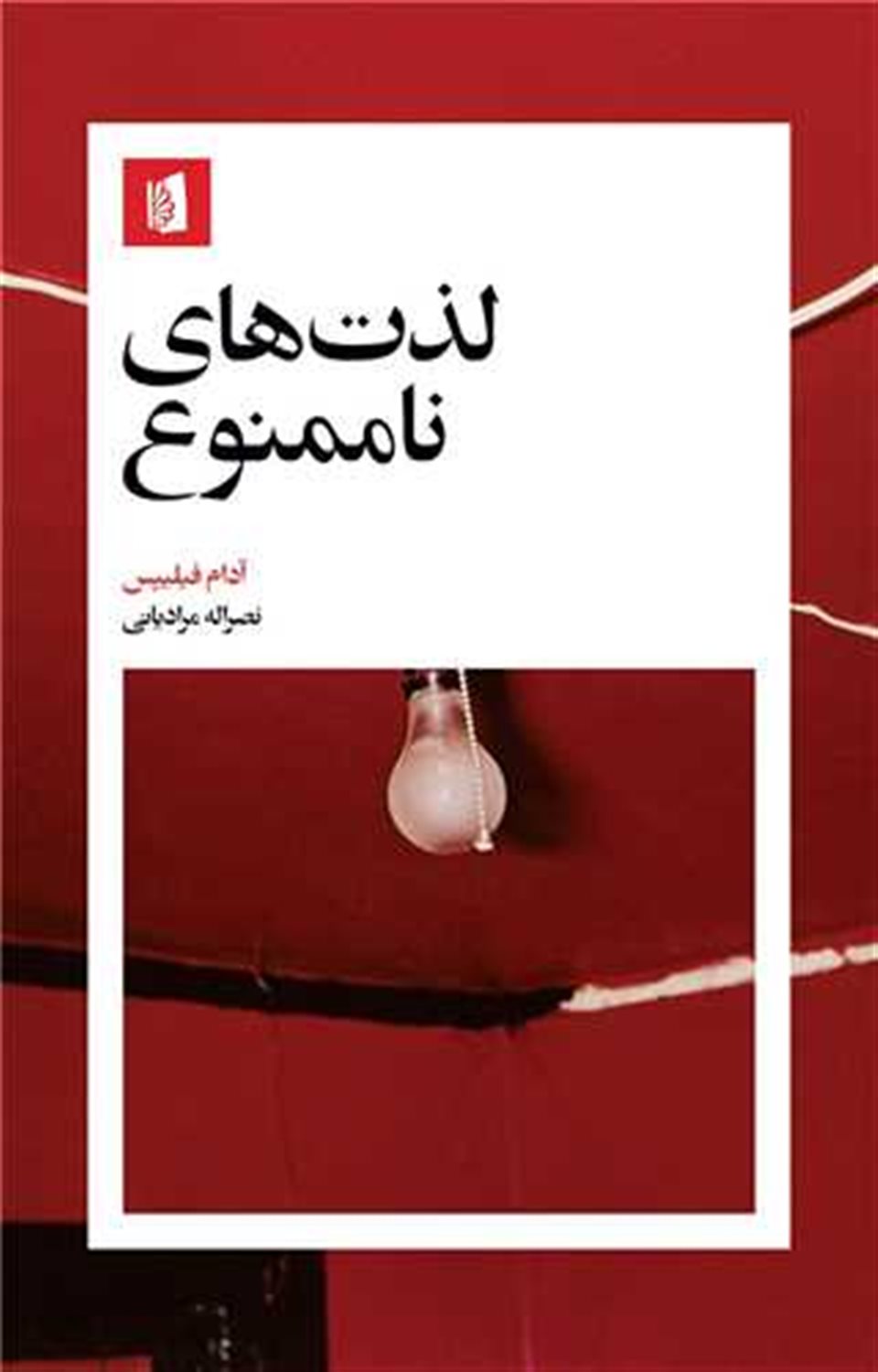 لذت‌های ناممنوع