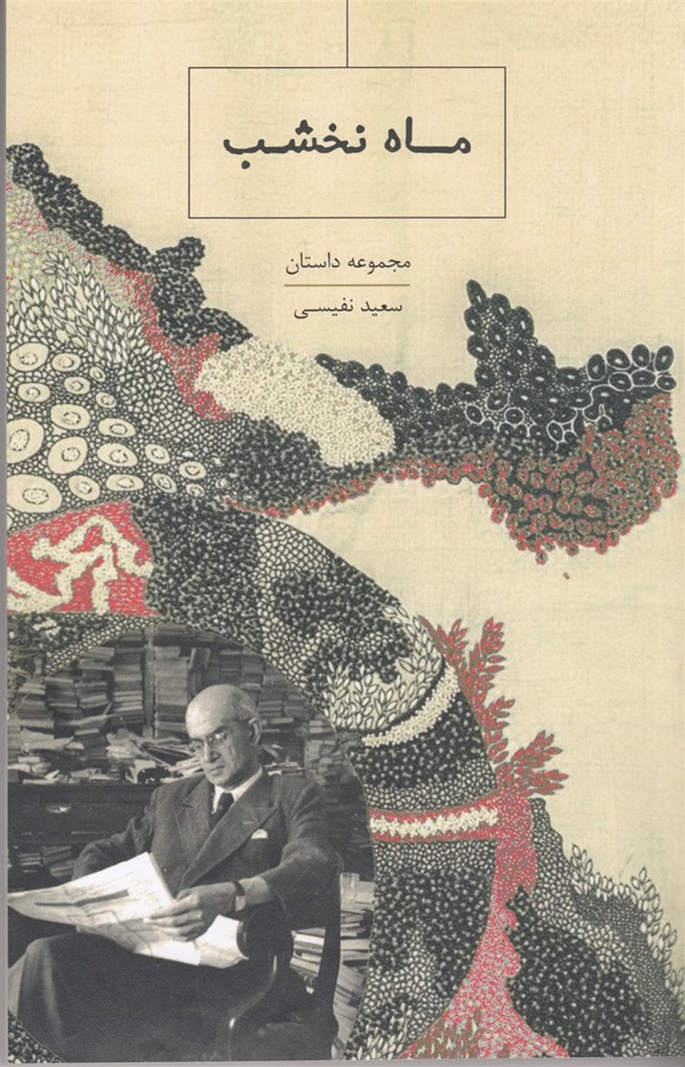 ماه نخشب
