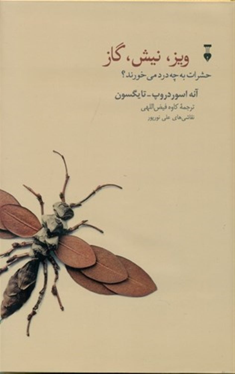 ویز نیش گاز