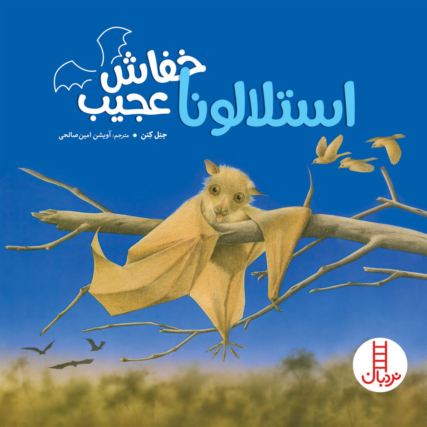 استلالونا خفاش عجیب