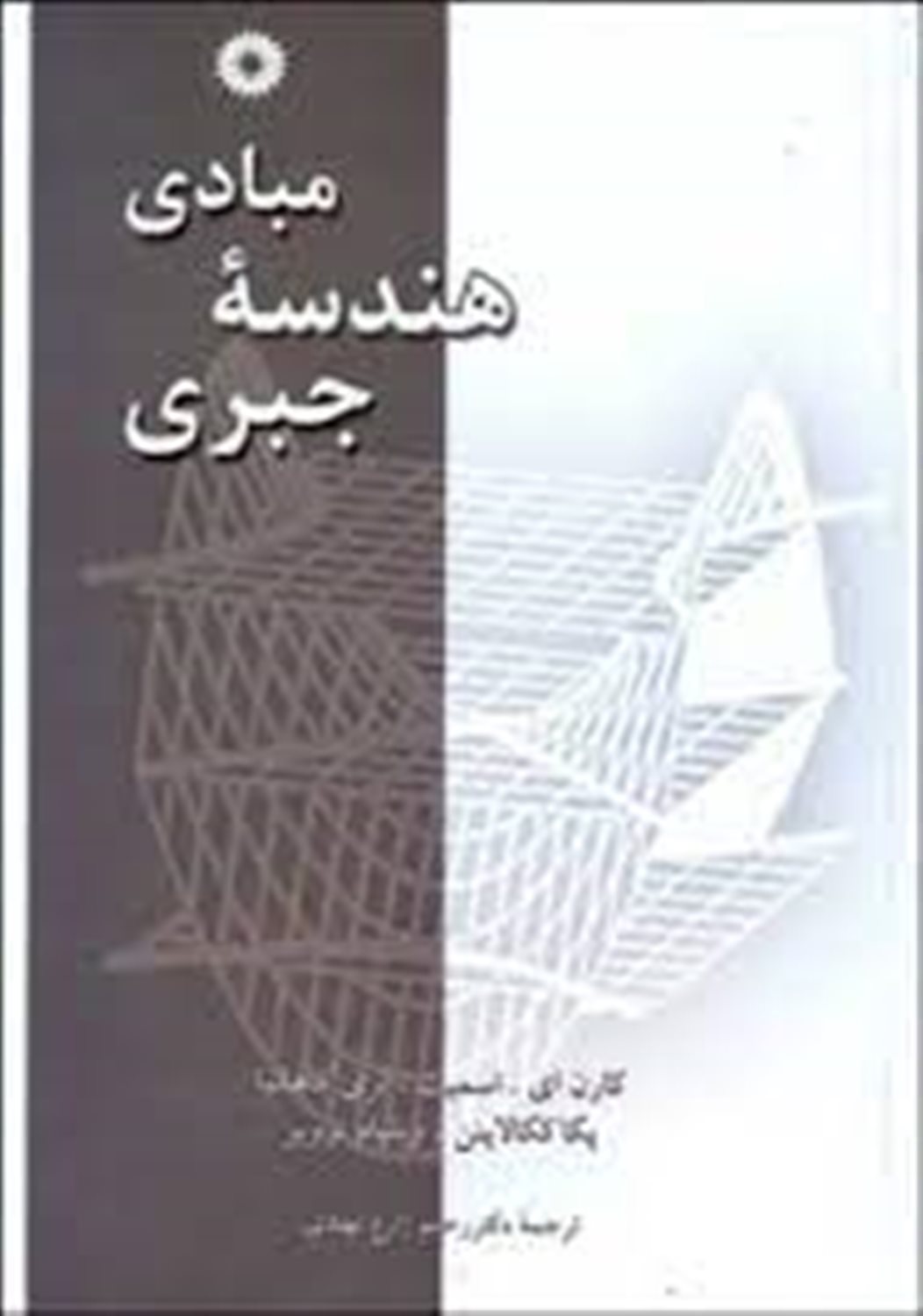 مبادی هندسه جبری