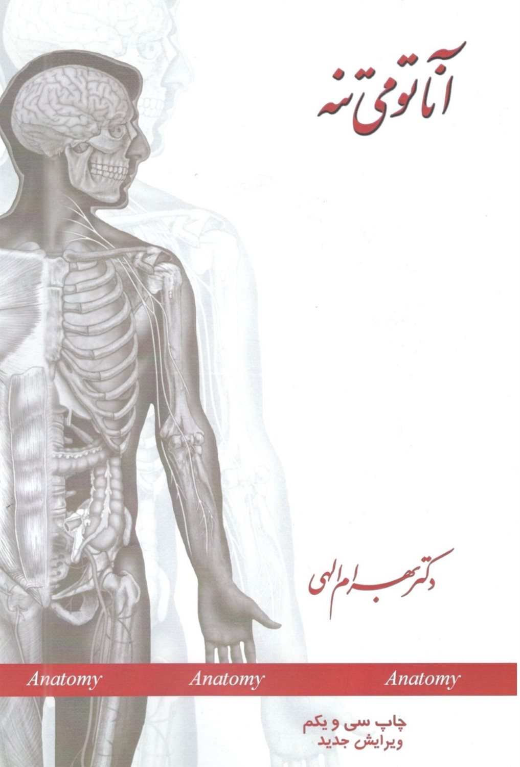 آناتومی تنه