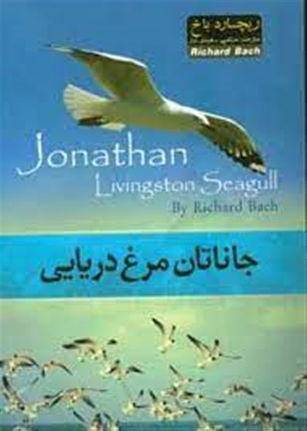 جاناتان مرغ دریایی