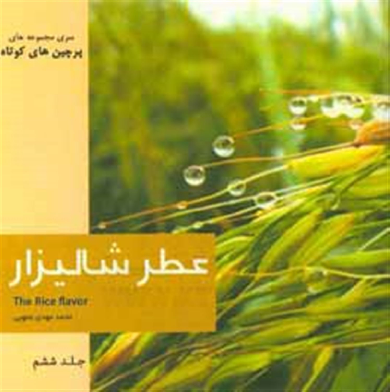 عطر شالیزار