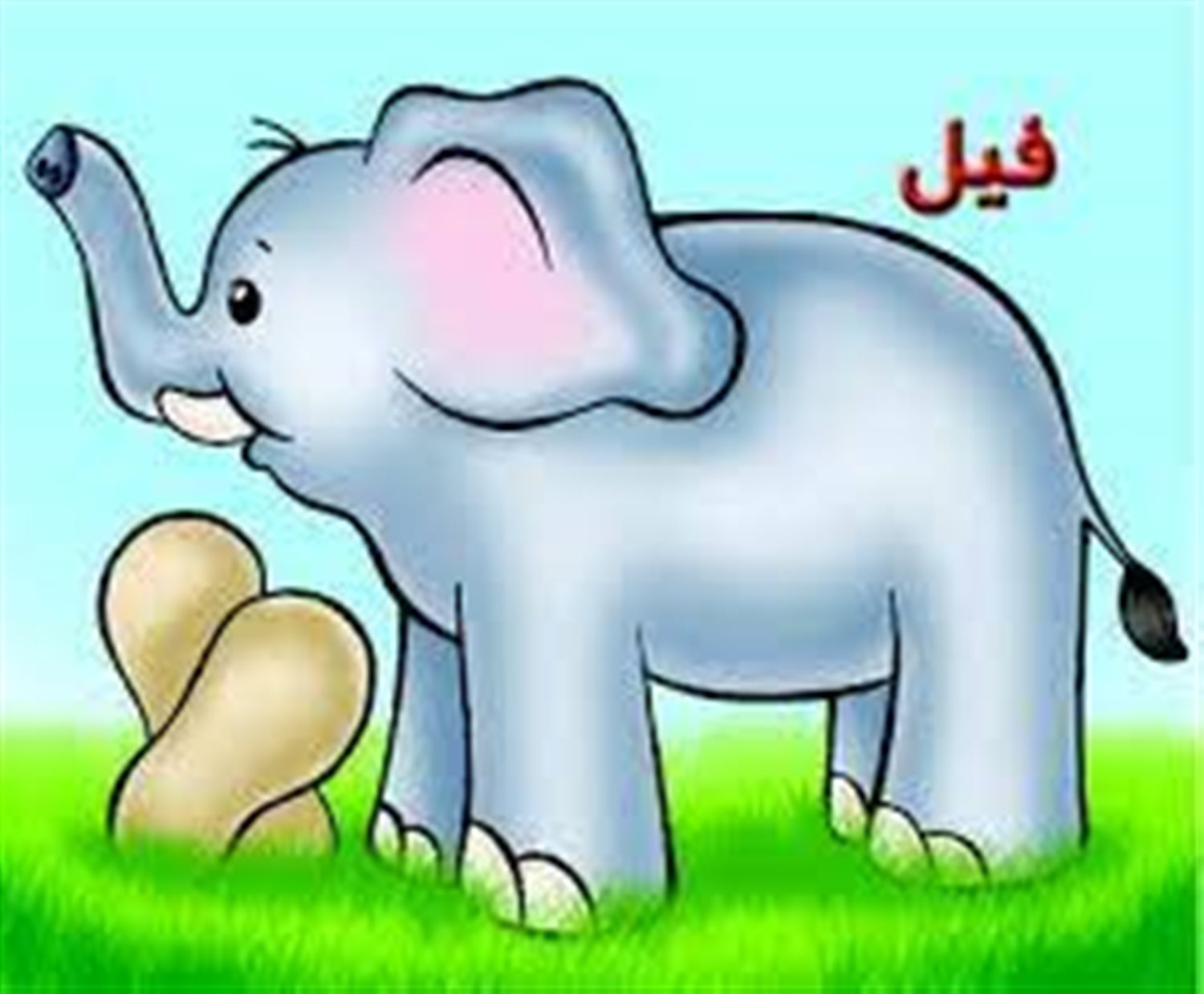 فیل