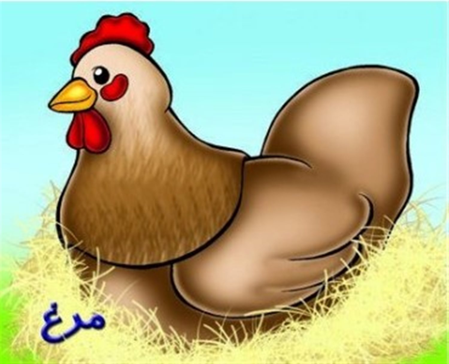مرغ