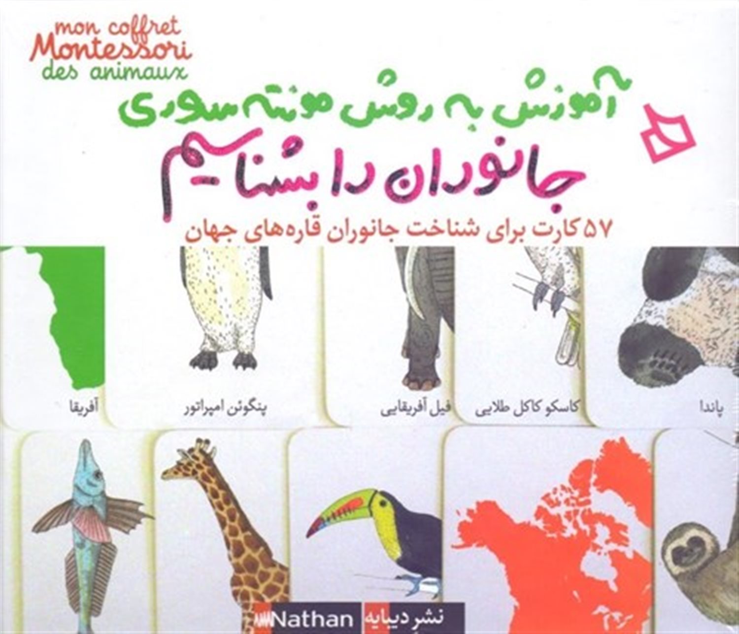 آموزش به روش مونته سوری (جانوران را بشناسیم)