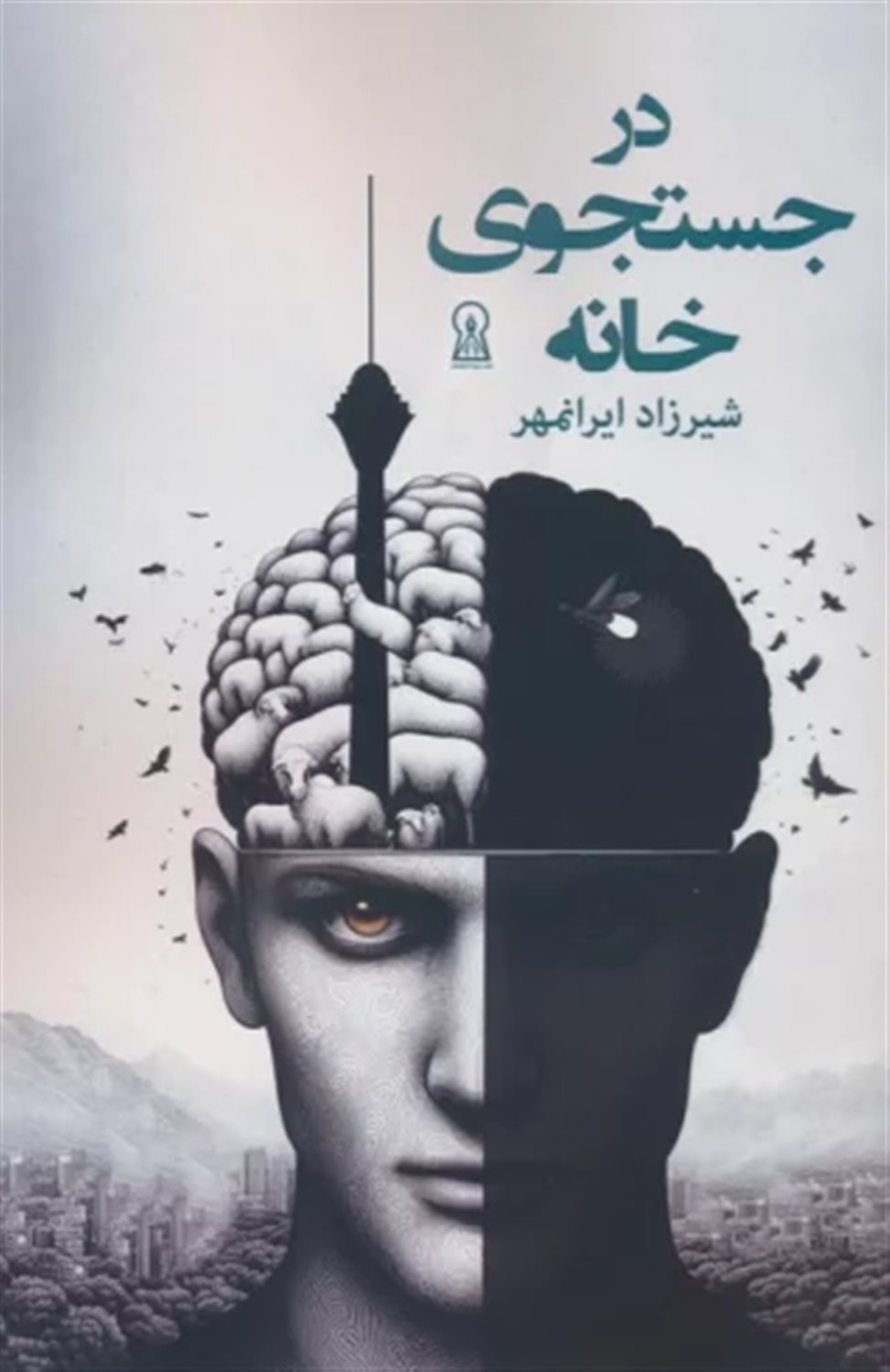 در جستجوی خانه