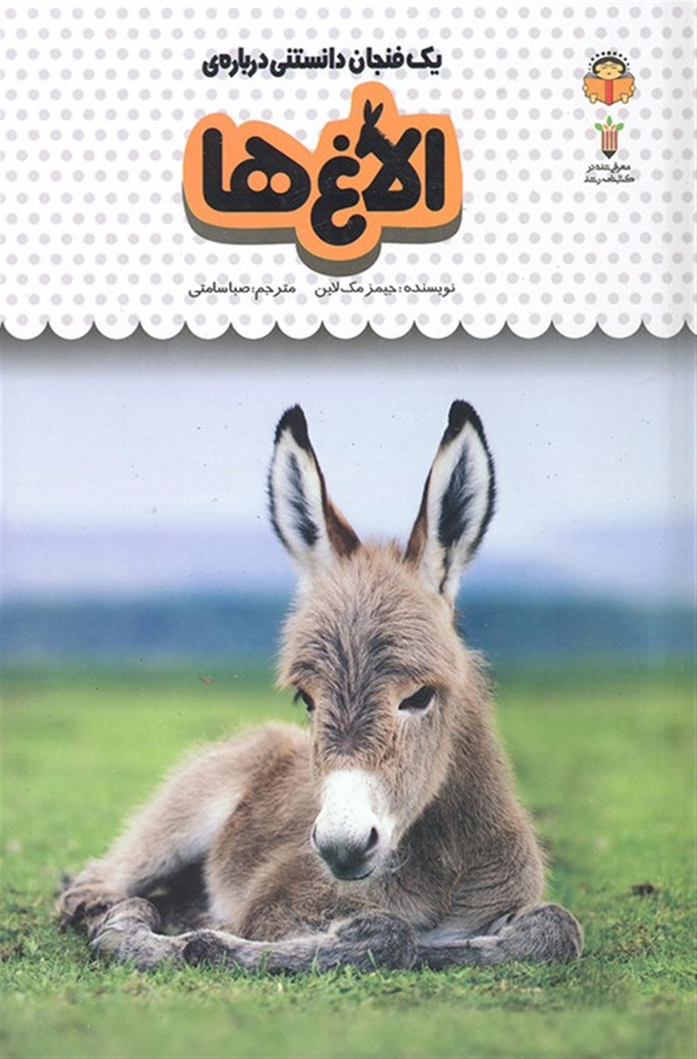 یک فنجان دانستنی درباره‌ی الاغ‌ها