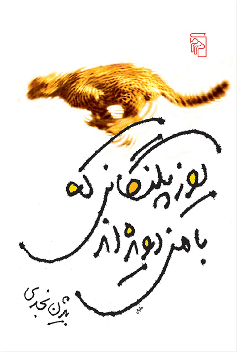 یوزپلنگانی که با من دویده‌اند