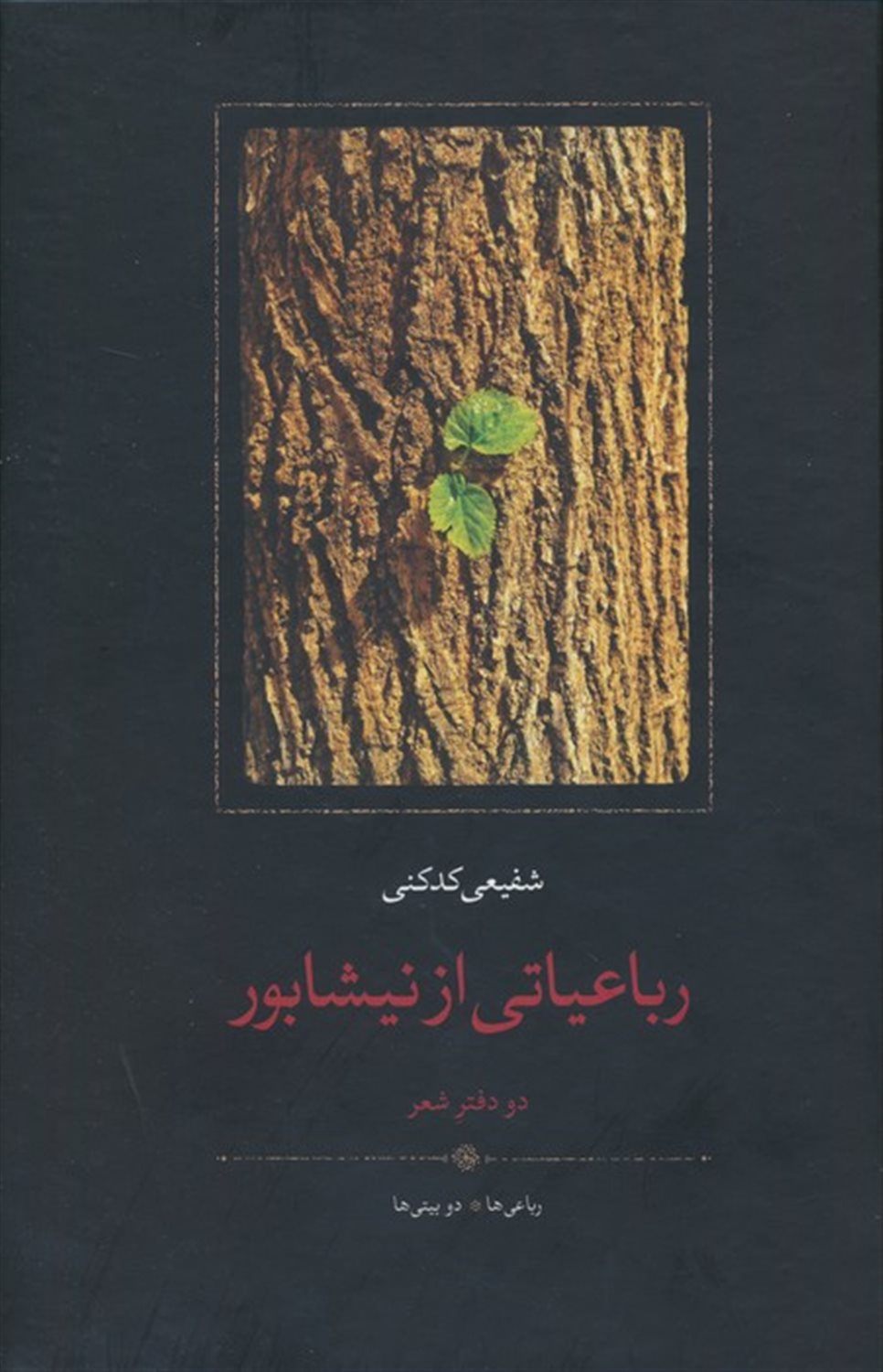 رباعیاتی از نیشابور 