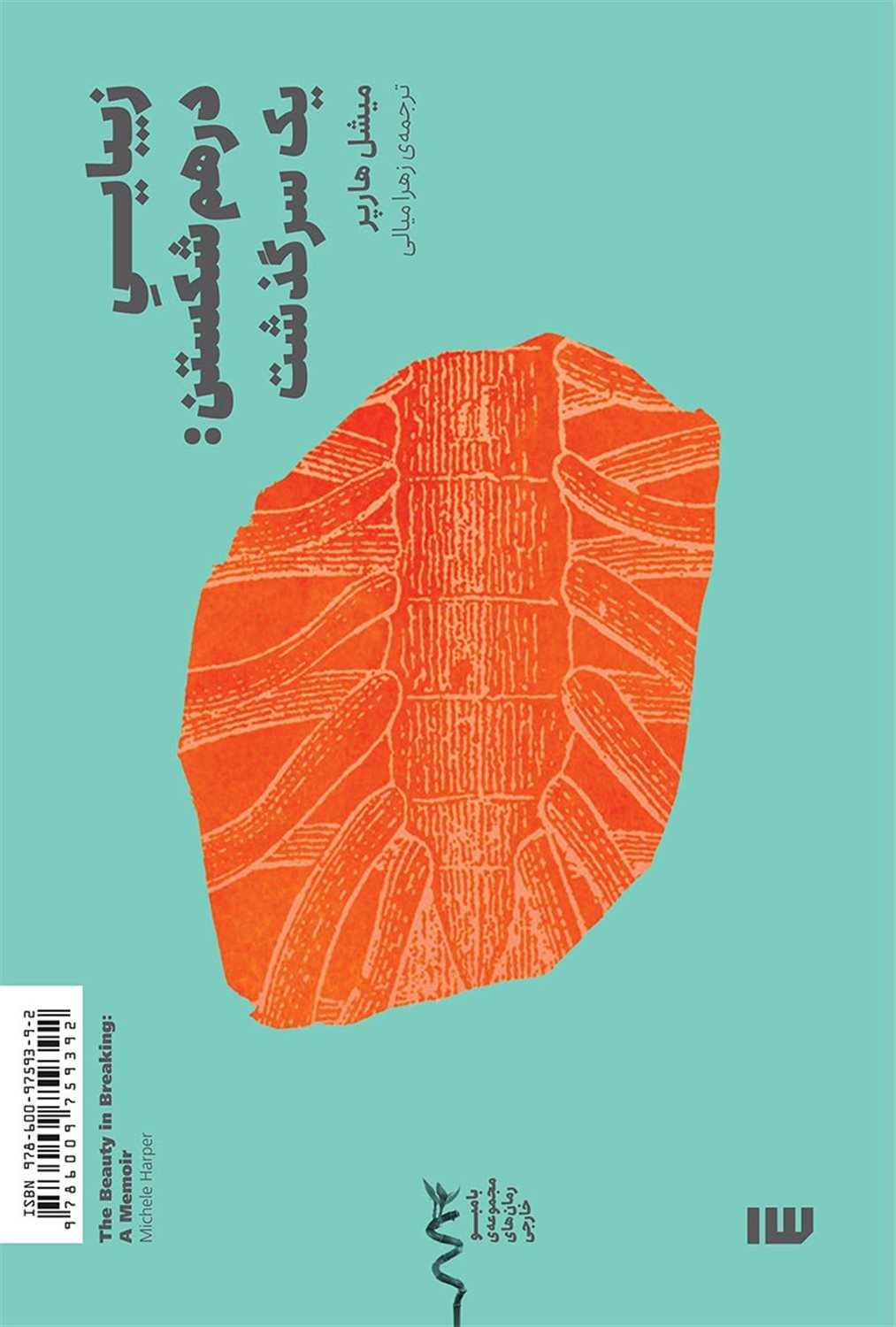 زیبایی درهم‌شکستن 