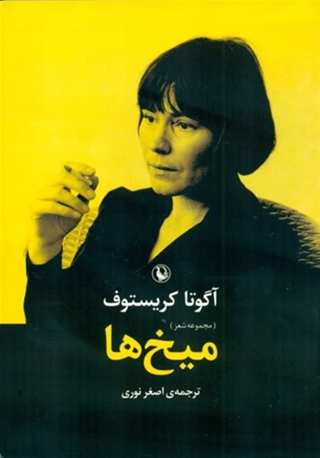 میخ ها