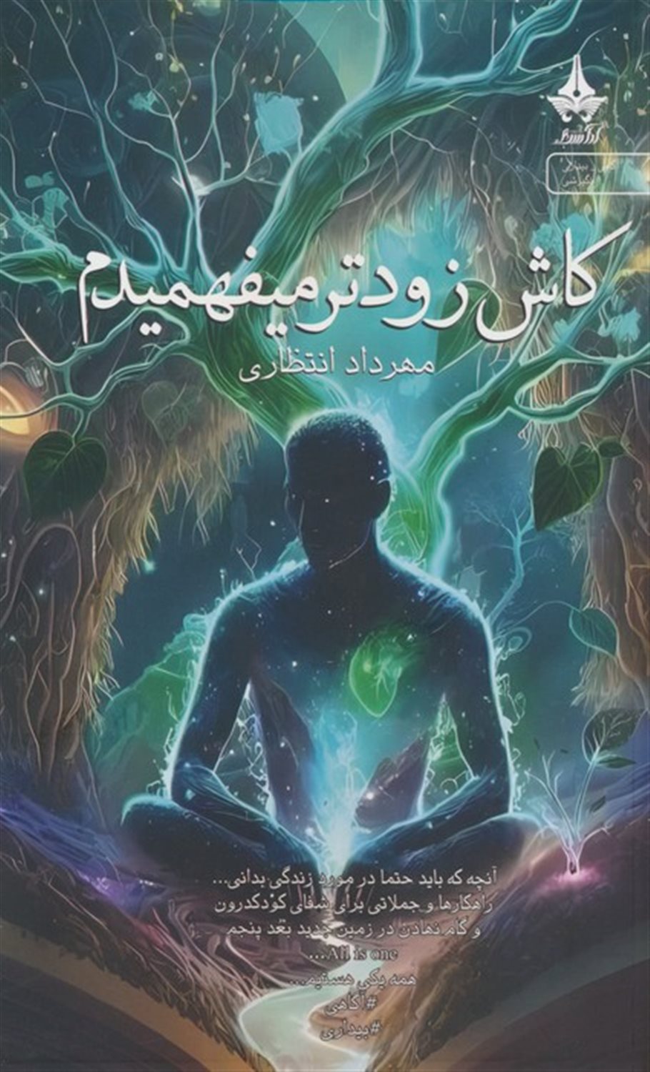 کاش زودتر میفهمیدم 