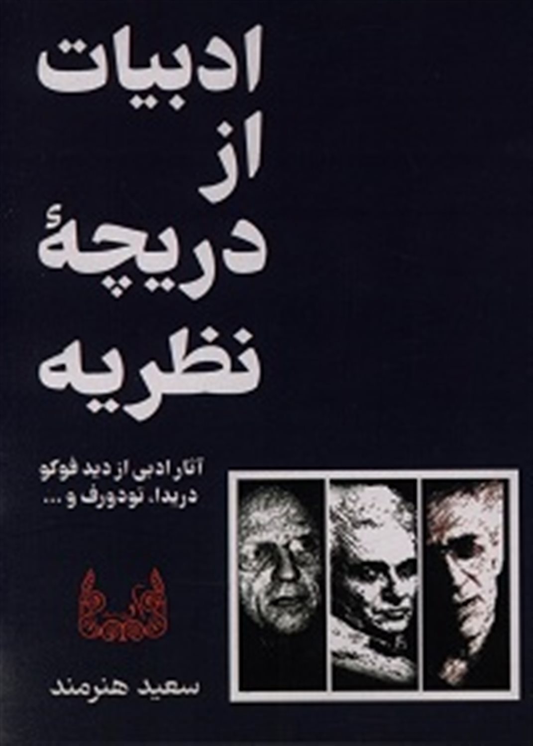 ادبیات از دریچه ی نظریه
