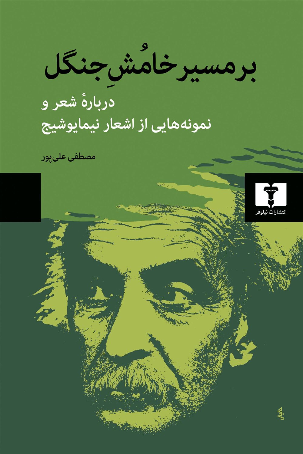 بر مسیر خامش جنگل