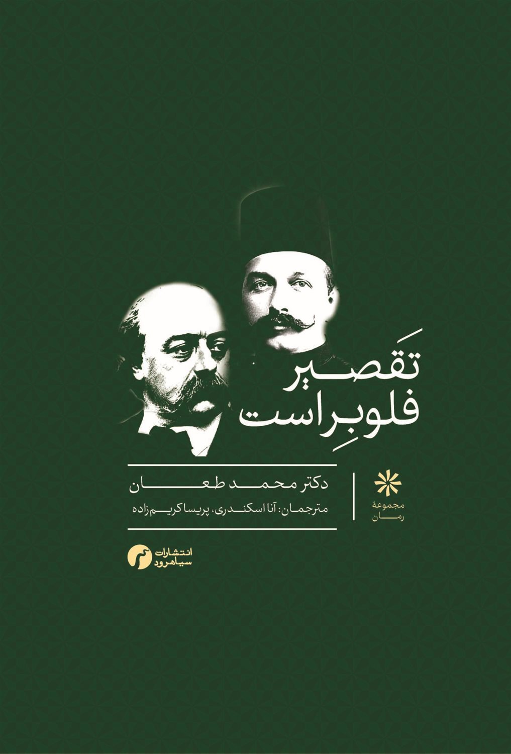 تقصیر فلوبر است 