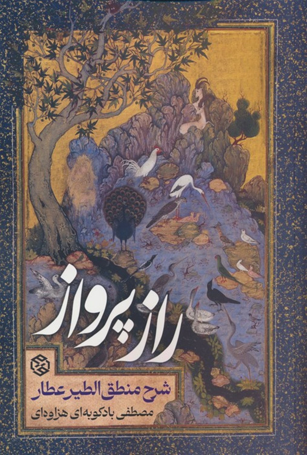 راز پرواز 