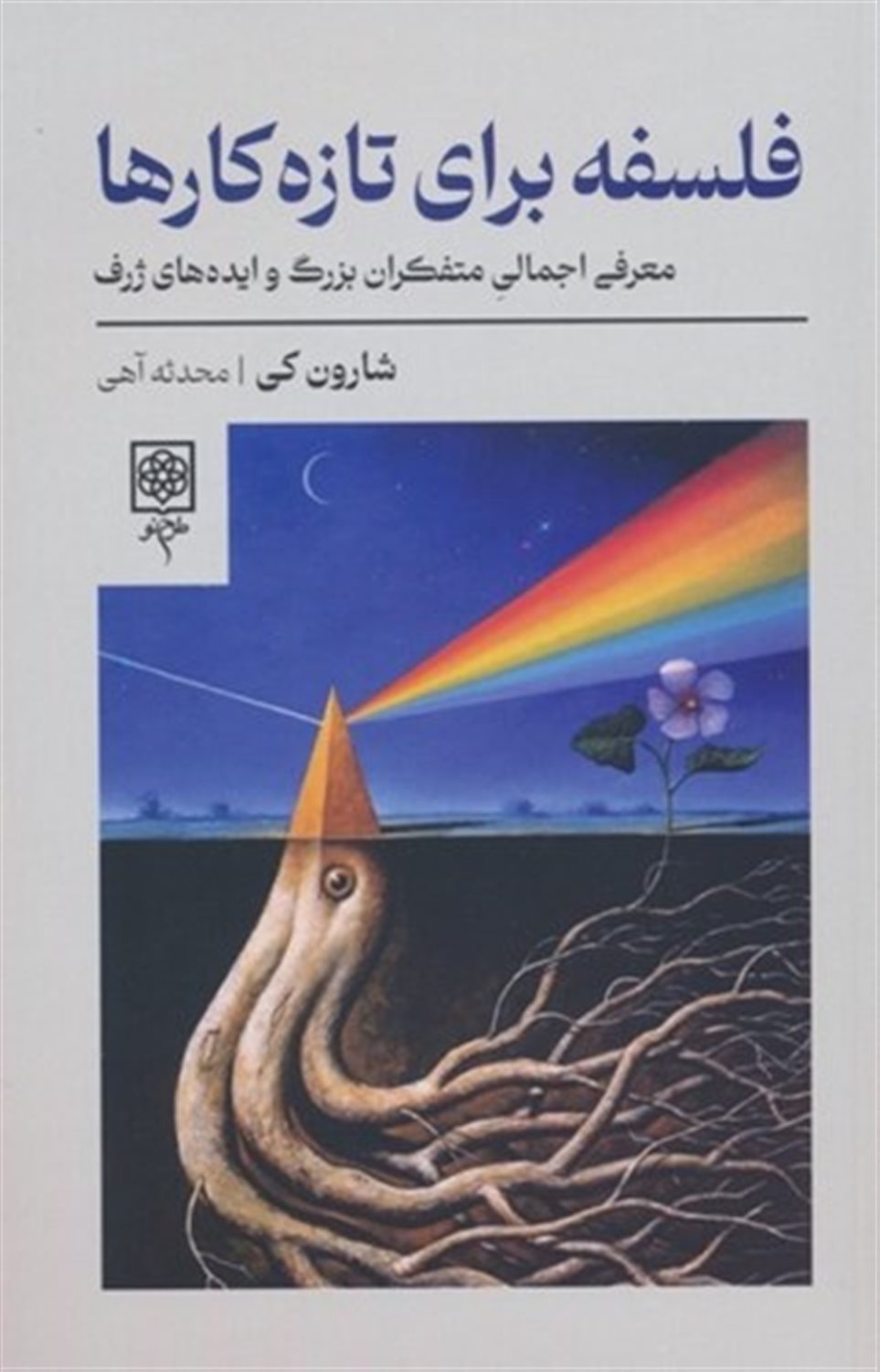 فلسفه برای تازه‌کارها 