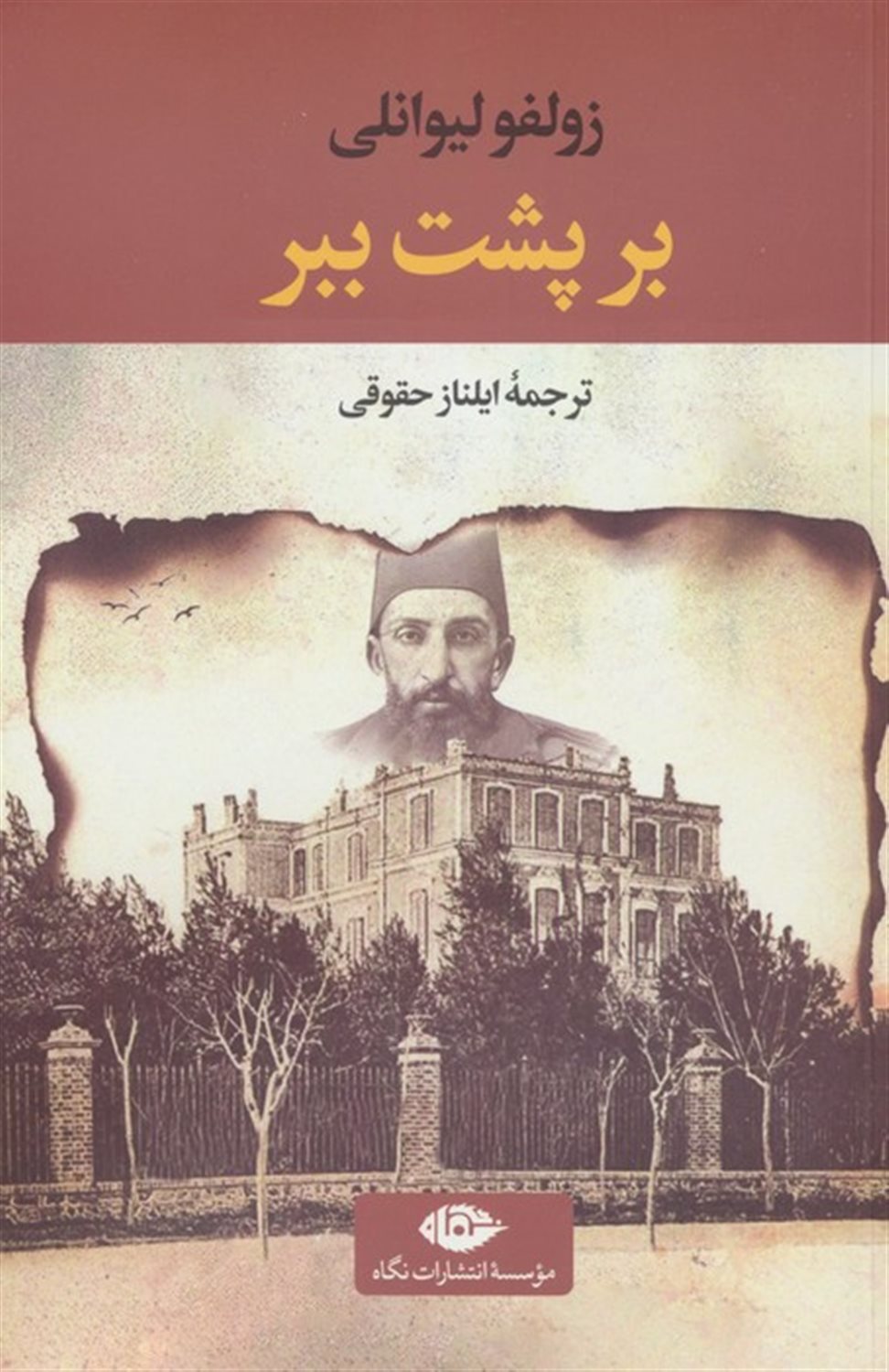 بر پشت ببر