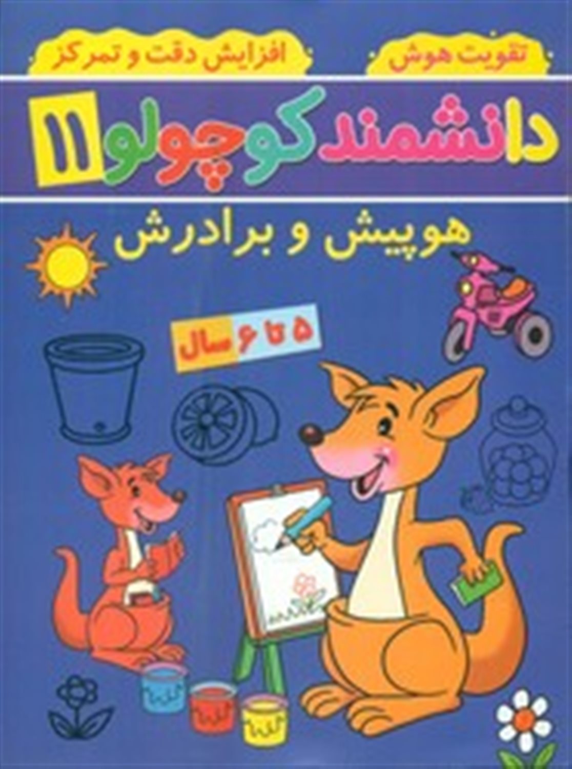 دانشمند کوچولو 11 (هوپیش و برادرش)