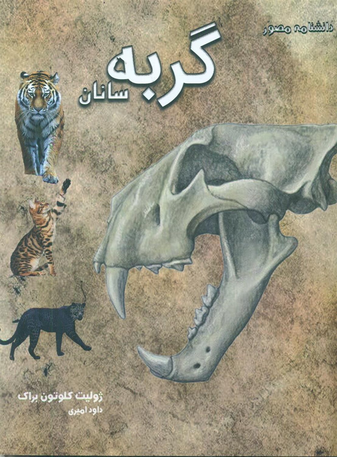 دانشنامه مصور گربه سانان