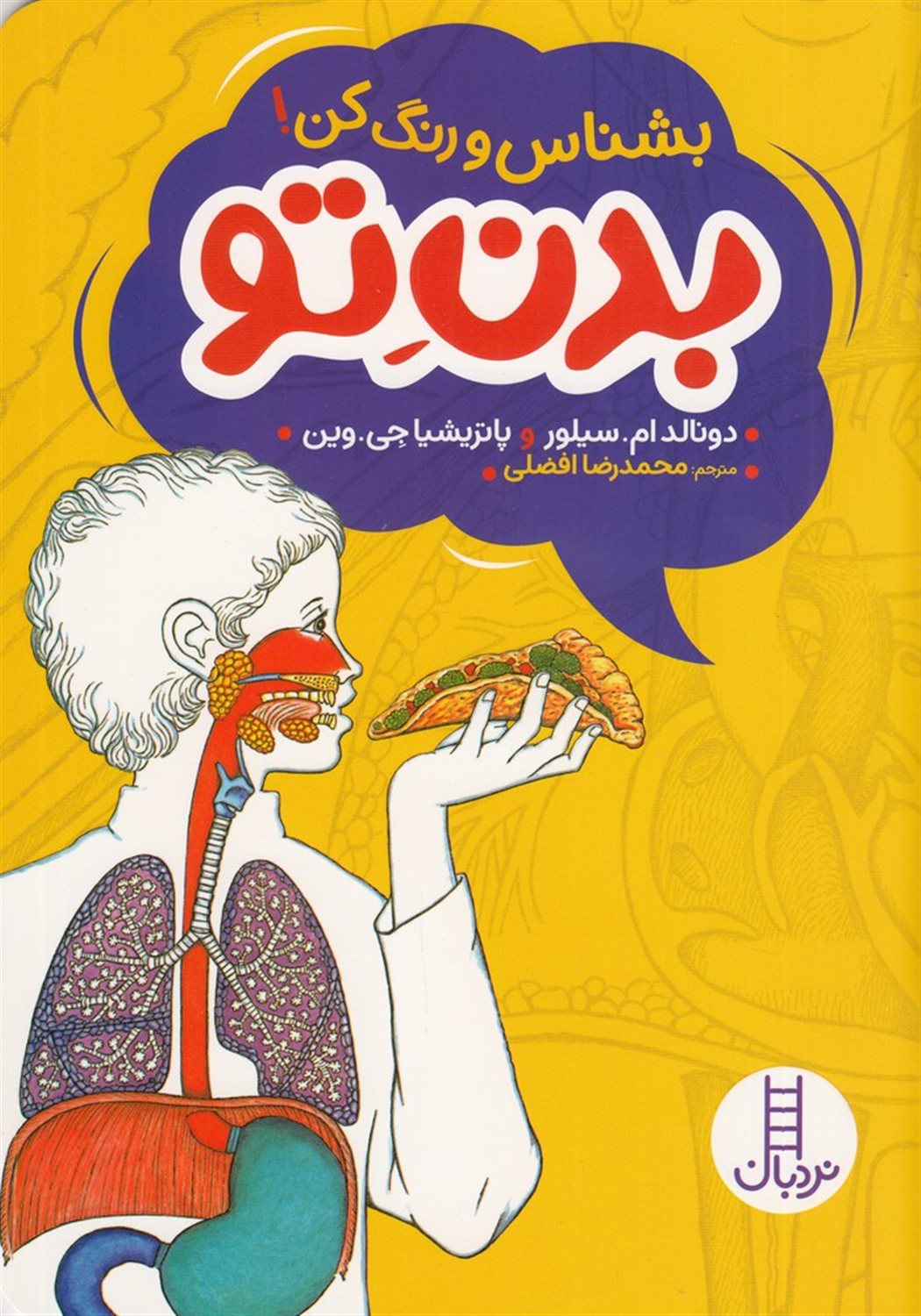 بشناس و رنگ کن! بدن تو