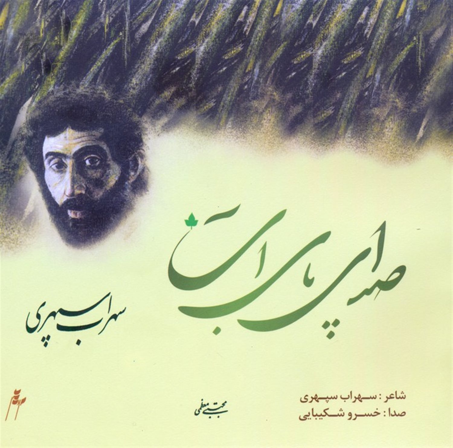 صدای پای آب 