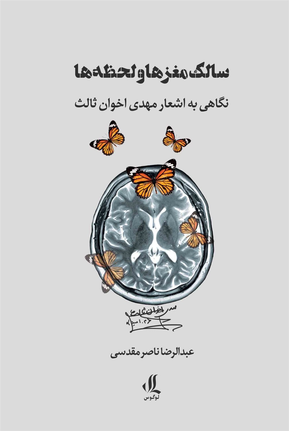 سالک مغزها و لحظه ها