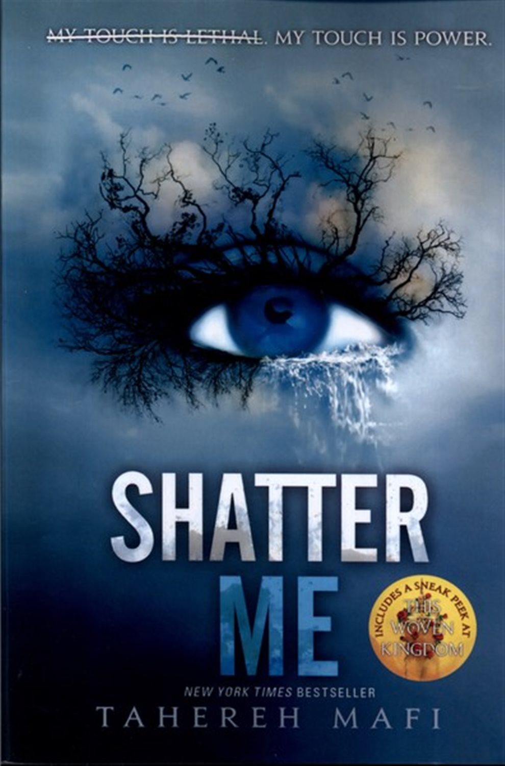 Shatter Me