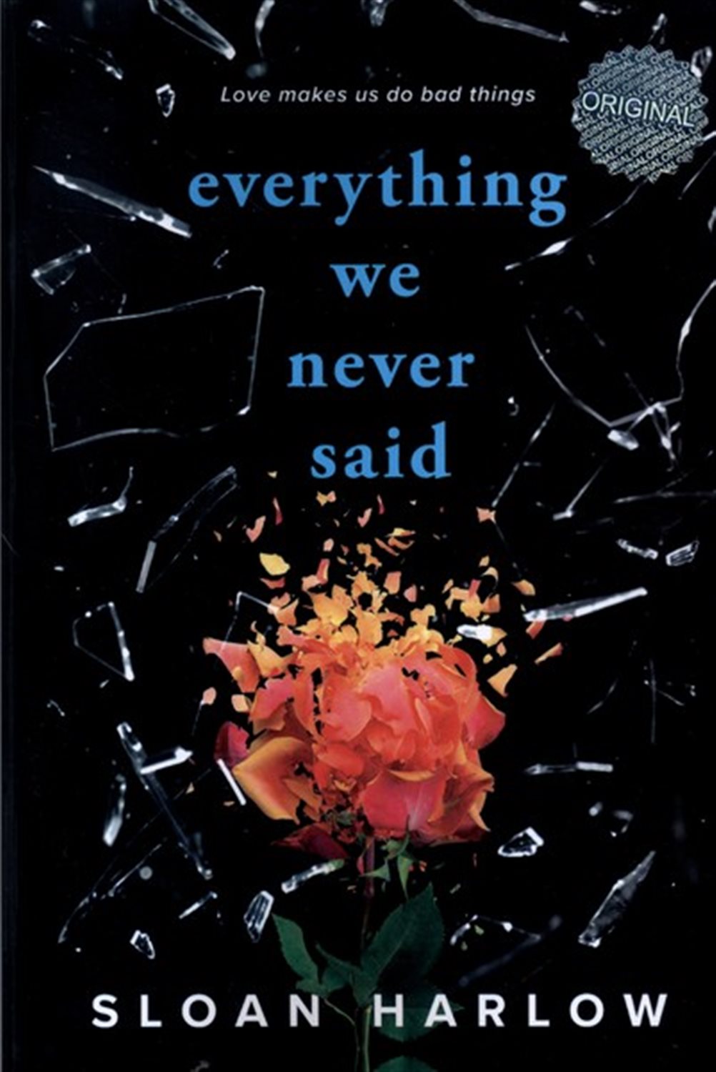 every thing we never said