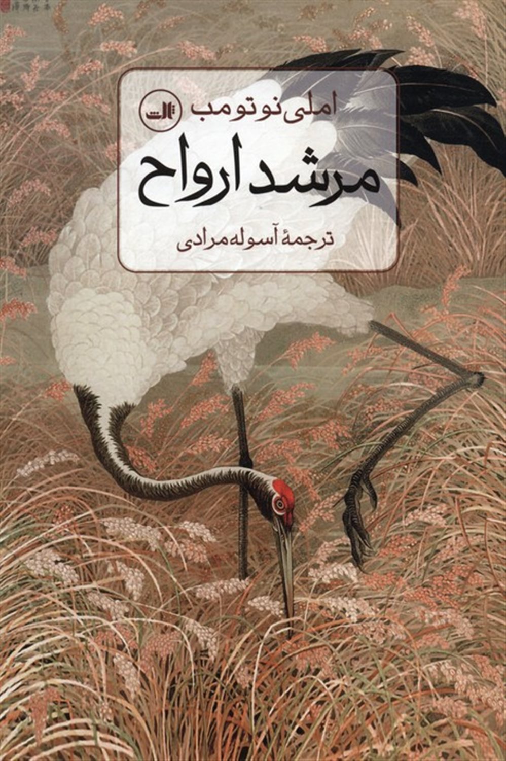 مرشد ارواح 