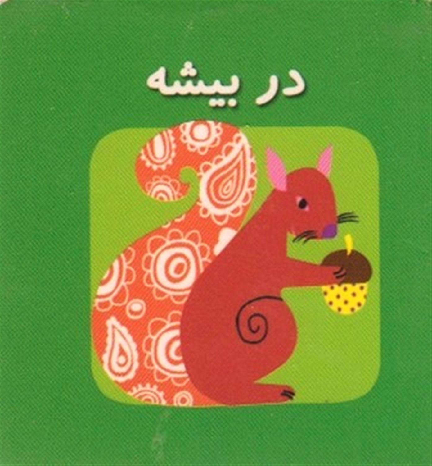 اولین کتاب‌های مکعبی من (در بیشه)