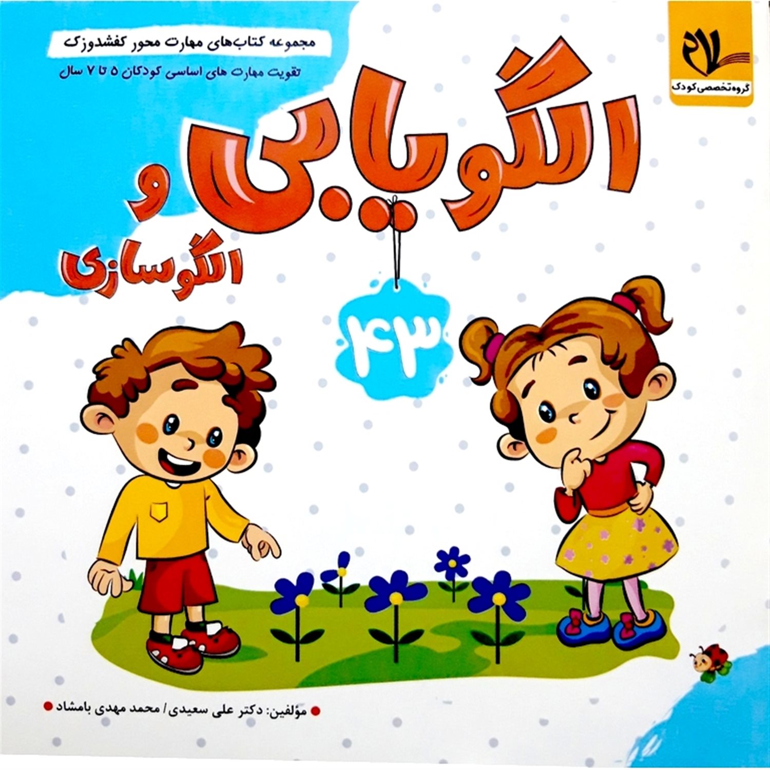  کفشدوزک 43 (الگویابی و الگوسازی)