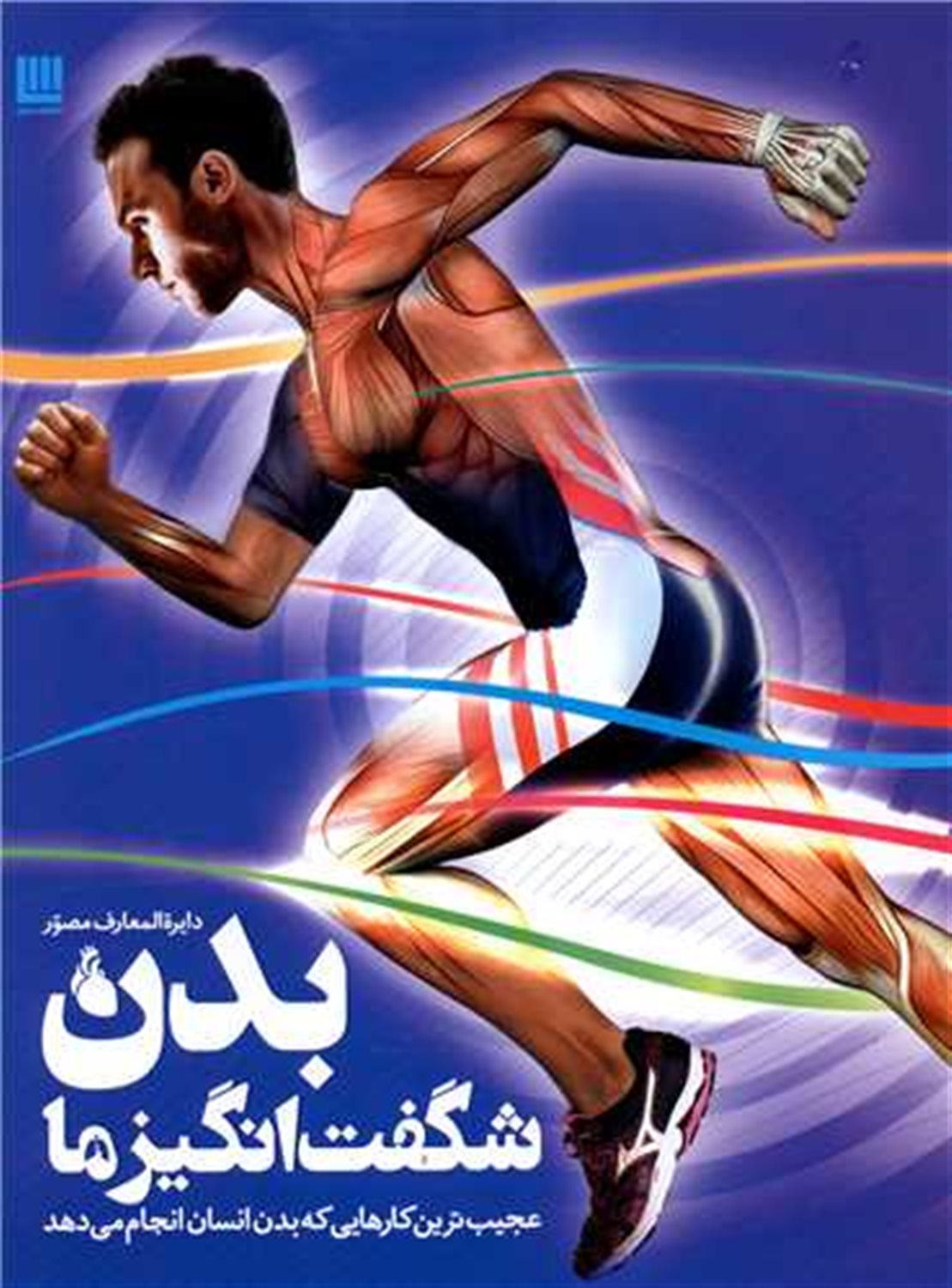دایره المعارف مصور بدن شگفت انگیز ما 