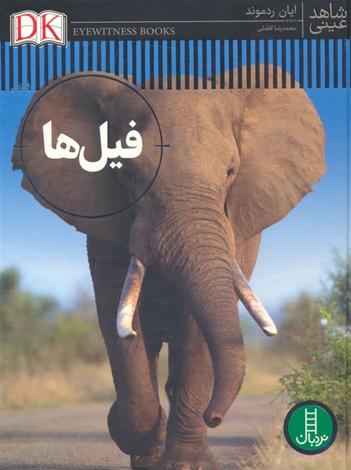 شاهد عینی (فیل‌‌ها)