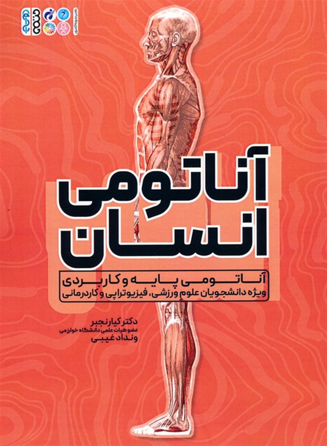 آناتومی انسان 