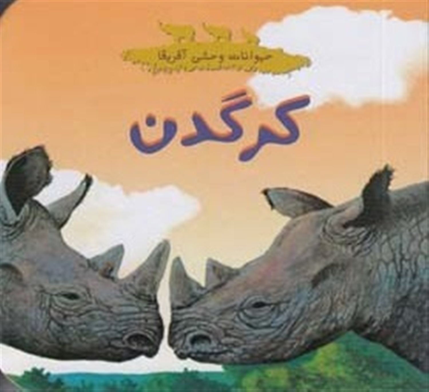 حیوانات وحشی آفریقا (کرگدن)