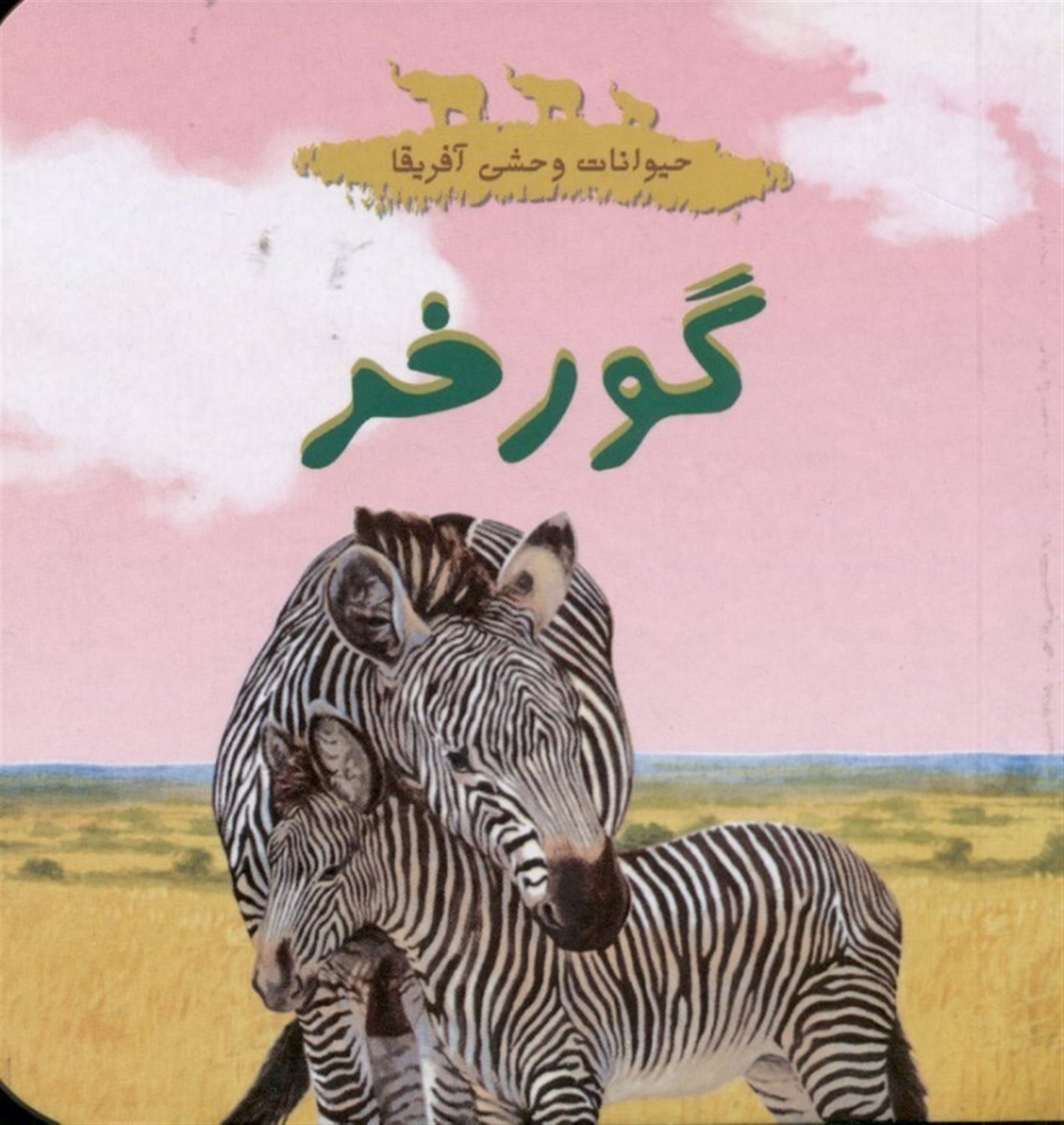 حیوانات وحشی آفریقا (گورخر)