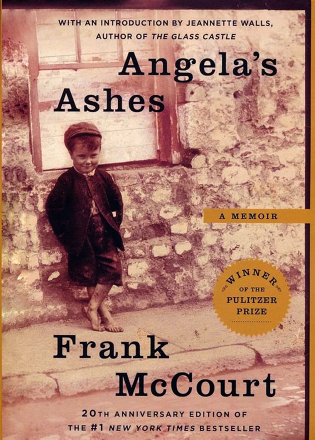 ANGELA S ASHES