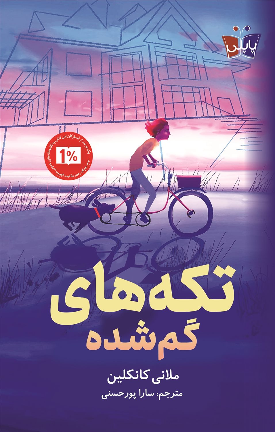تکه های گم شده