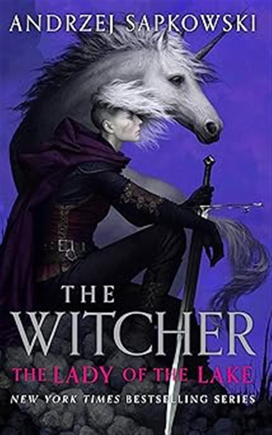 The witcher the lady of the lake